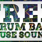 W. A. Production Intros What About: Free Serum Bass House Sounds