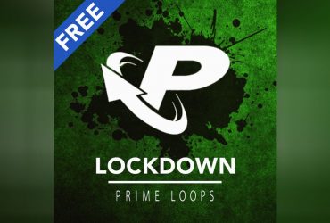 Lockdown Free Sample Pack of 100 Melody Loops