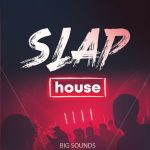 Big Sounds Slap House Library