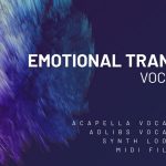 Emotional Trance Vocals Sample Library