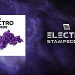 W. A. Production "Electro Stampede" Sample Pack FREE for Limited Time