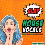 HighLife Samples Releases Slap House Vocals