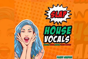 HighLife Samples Releases Slap House Vocals